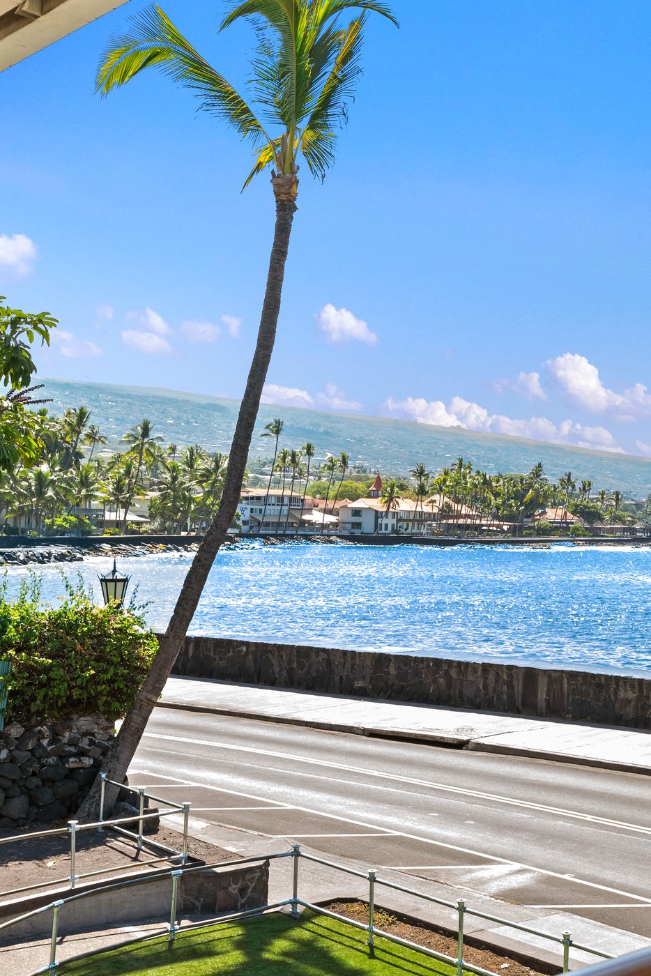 Palm tree and ocean view